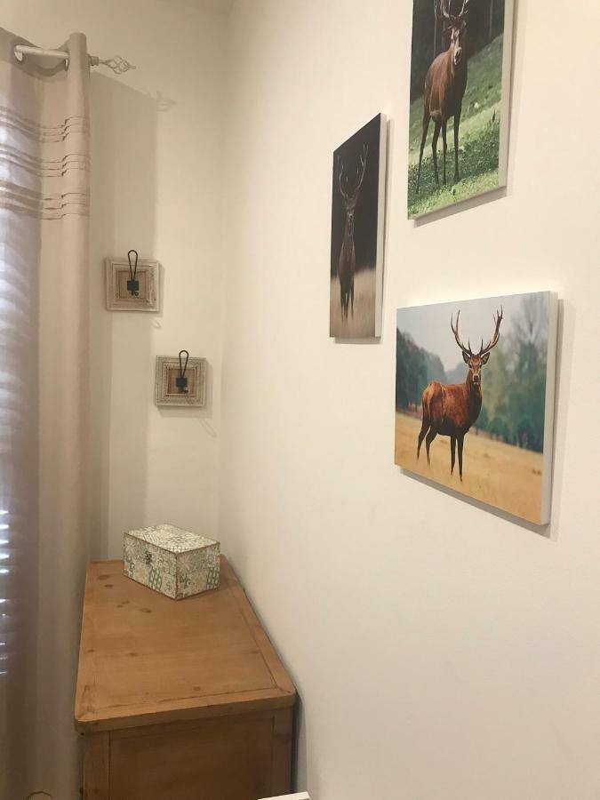 Apartament Neret II Sort Dış mekan fotoğraf